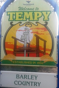 Tempy barley sign