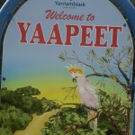 Yaapeet